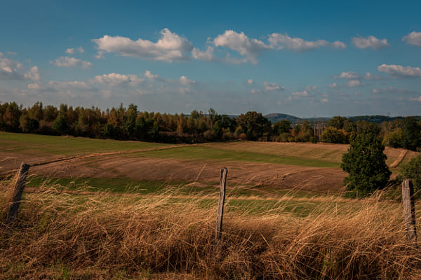 Felder hinter trockenem Gras und einem Weidezaun unter lockerem Wolkenhimmel