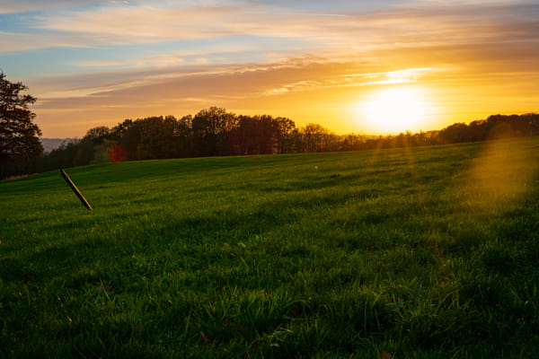 Tief stehende Sonne über einer grünen Wiese und einer dunklen Baumlinie